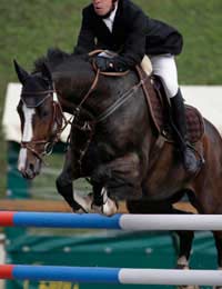 Equestrianism Olympic Sport Athletes