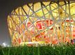 The Spectacular Bird's Nest Stadium Beijing