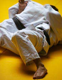 Judo Japanese Wrestling Sport Olympic