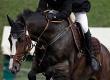 Olympic Equestrian Events