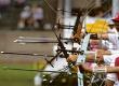 Rules and Skills in Olympic Shooting and Archery