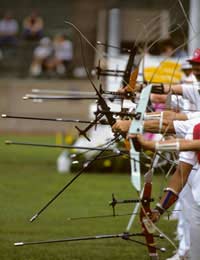 Olympic Archery Accuracy Seoul Gold